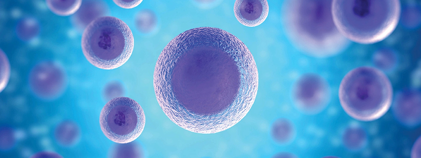 Bioprocessing of Advanced Cellular Therapies & Regenerative Medicine Congress