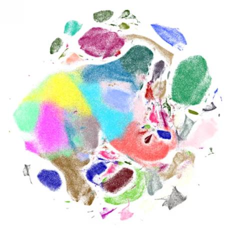 Single-cell-mogrify