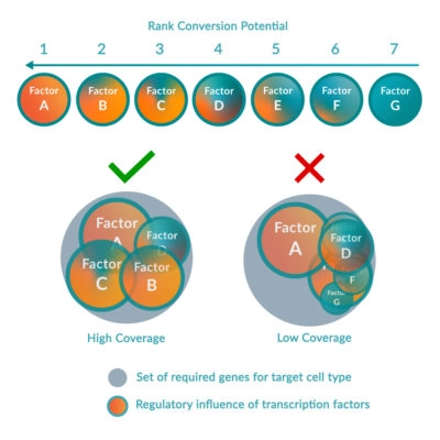Direct Cellular Reprogramming | MOGRIFY® Technology