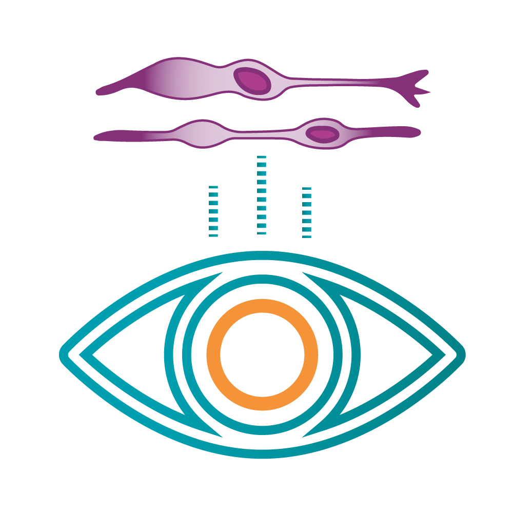 Ophthalmology-Colour Cell Reprogramming for Ophthalmology